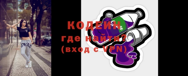 СК Няндома