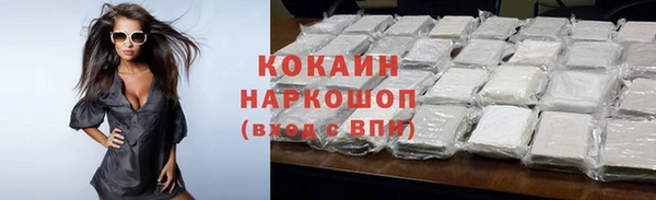 СК Няндома