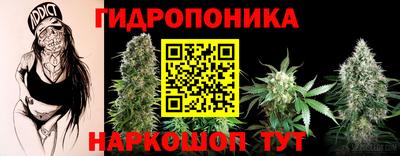 СК Жуковский