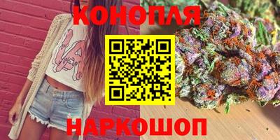 индика Заводоуковск
