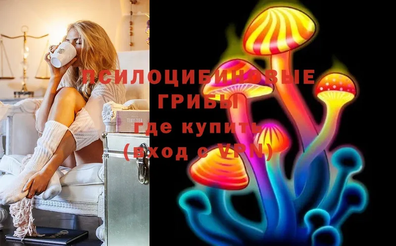 Галлюциногенные грибы MAGIC MUSHROOMS  где продают наркотики  МЕГА вход  Соликамск 