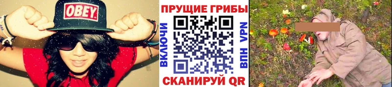 что такое   Соликамск  Псилоцибиновые грибы Magic Shrooms 