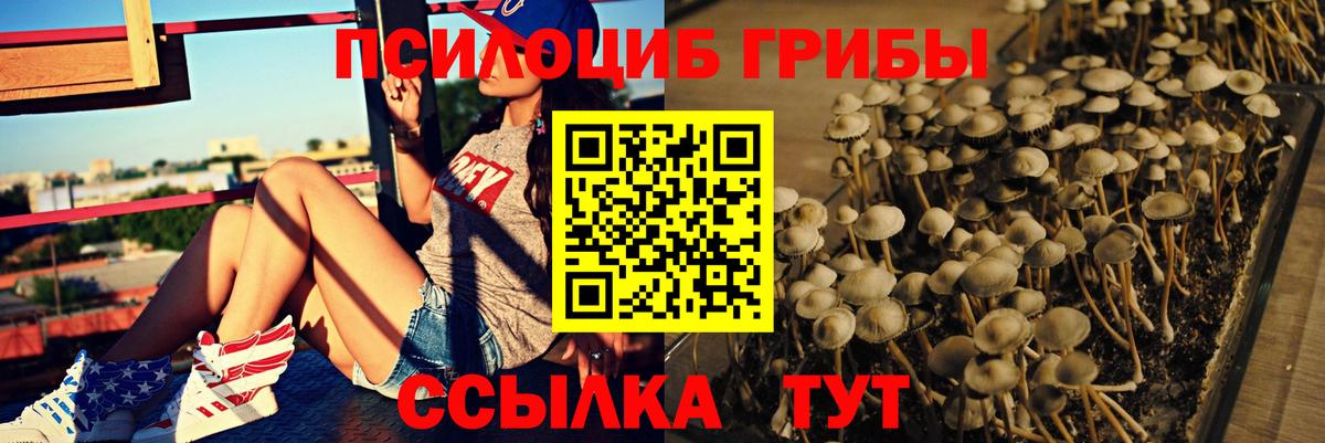 Галлюциногенные грибы Cubensis Соликамск